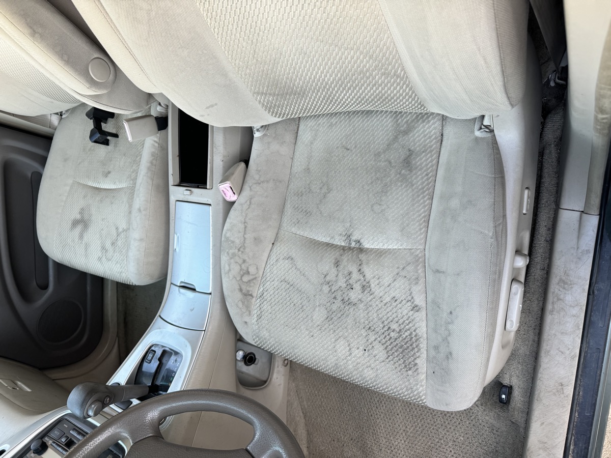 Professional auto detailing