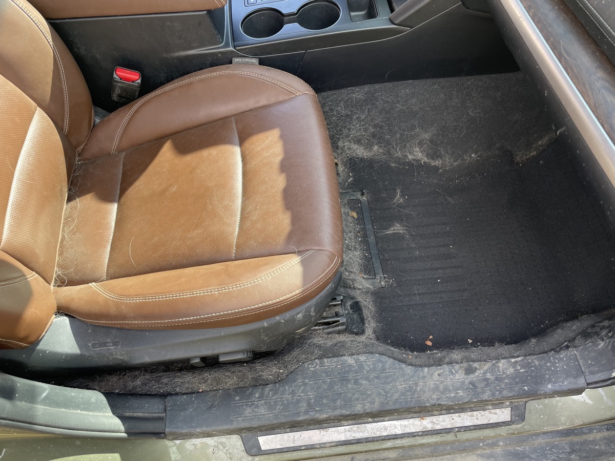 Interior restoration